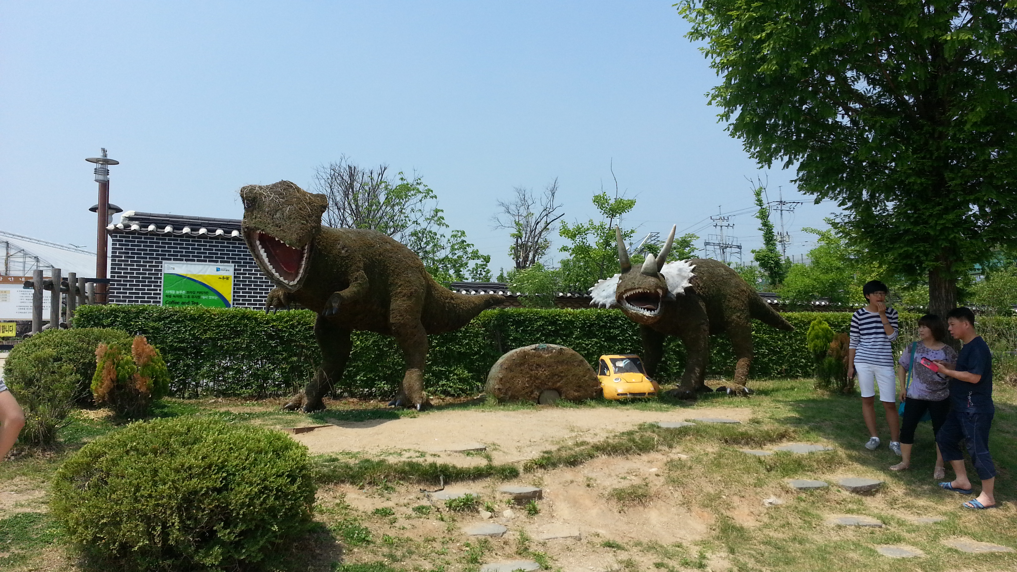 20140531_111039.jpg