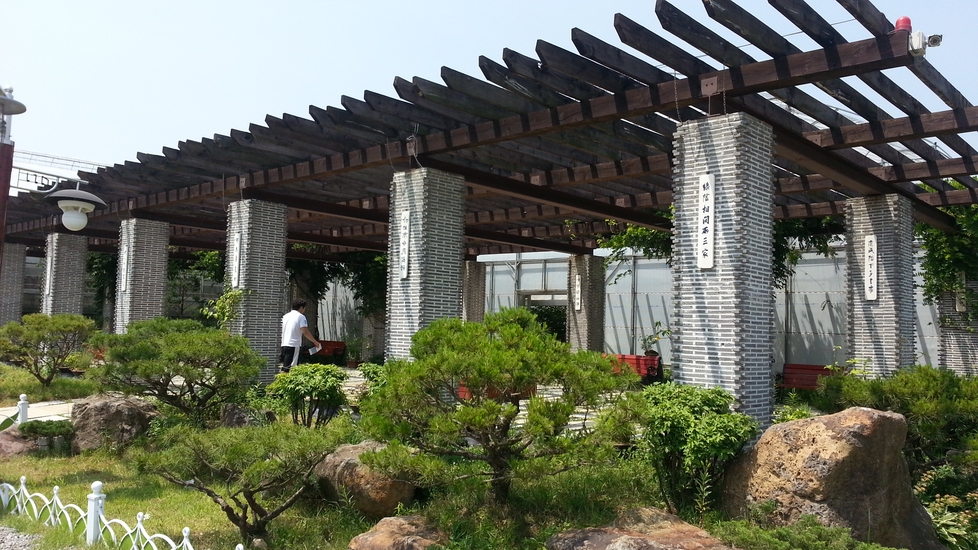 20140531_111344.jpg