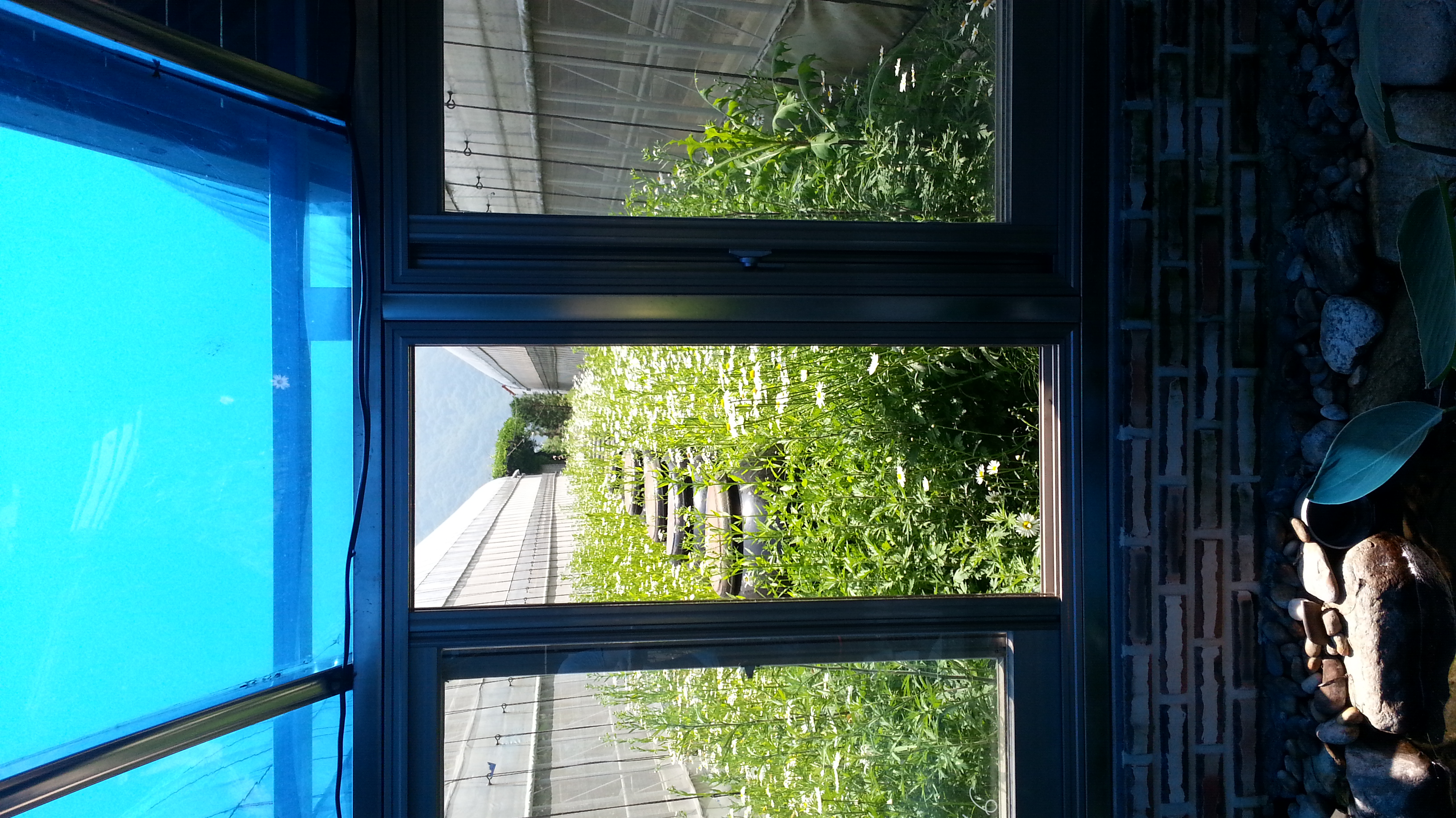 20140531_112043.jpg