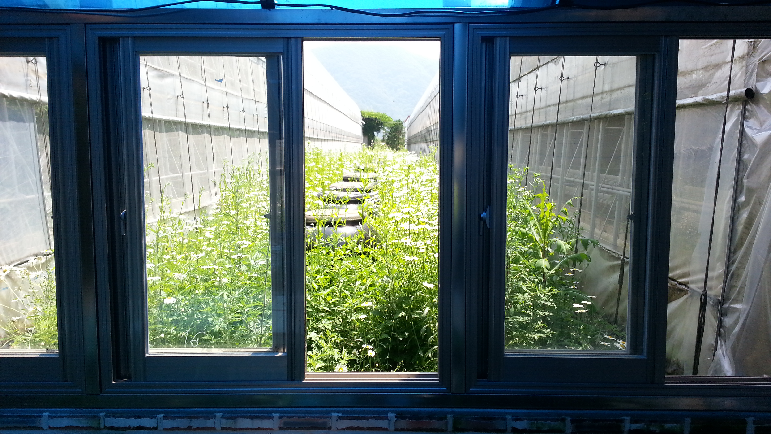20140531_112052.jpg