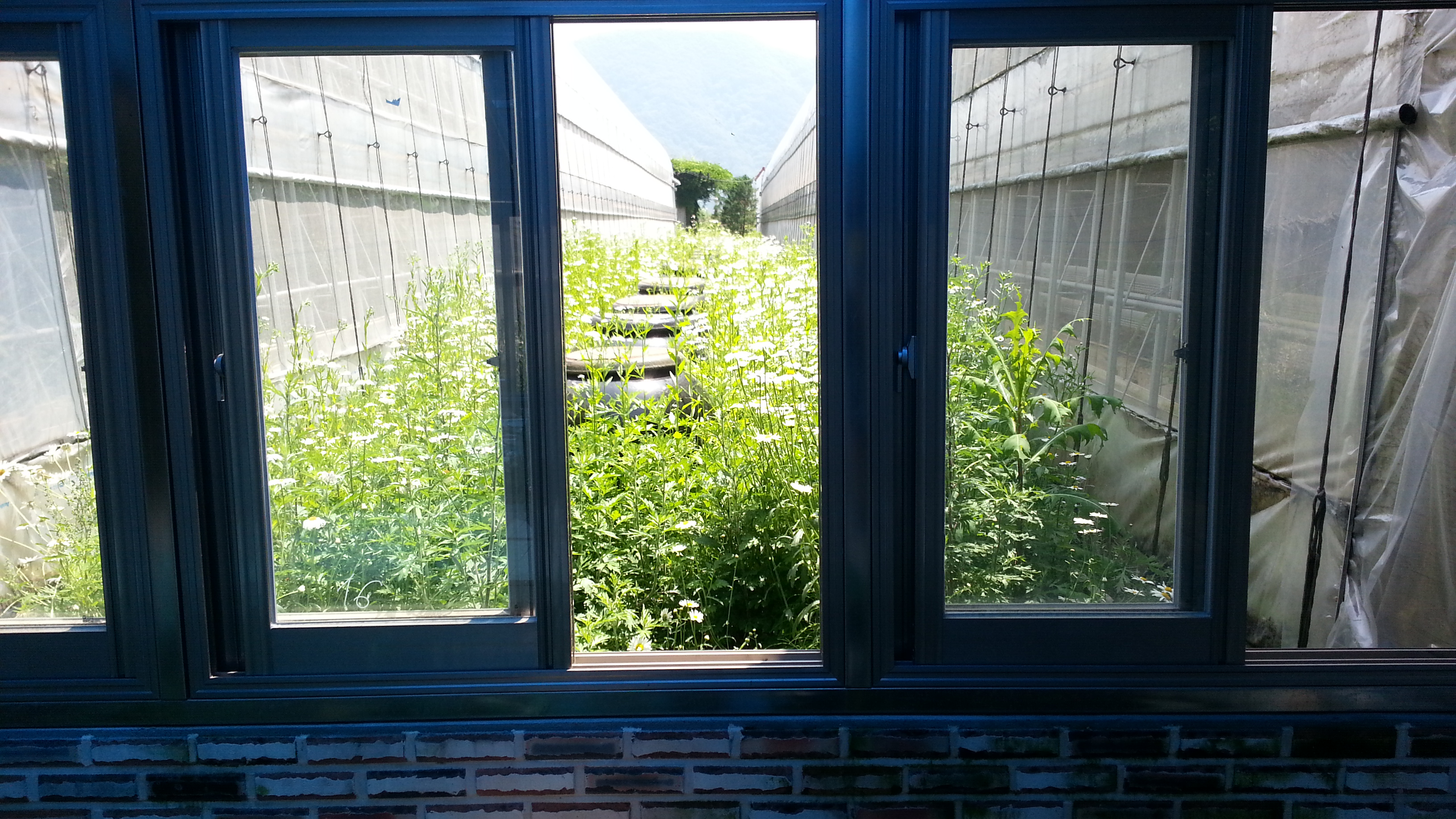 20140531_112049.jpg