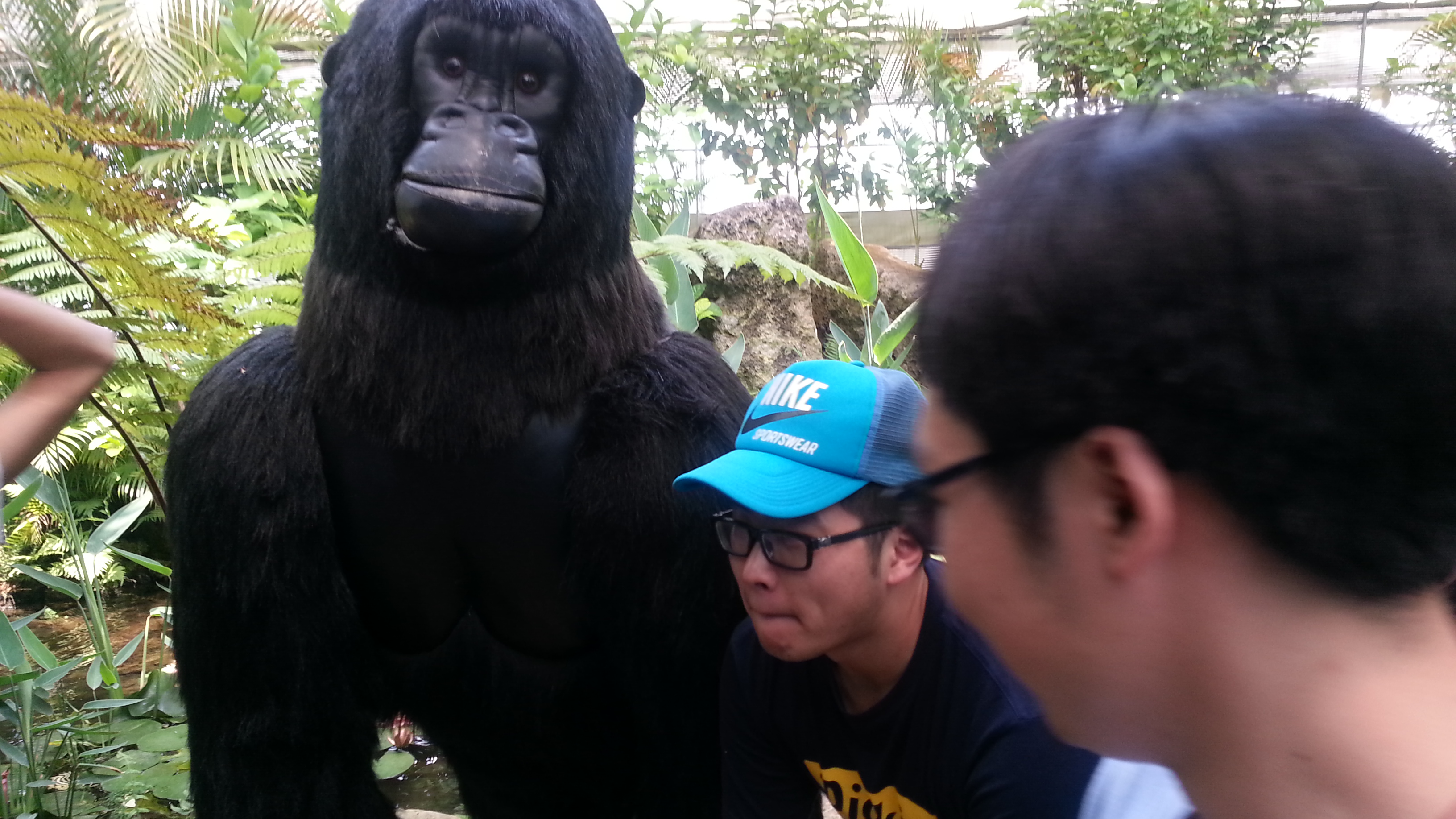 20140531_114639.jpg